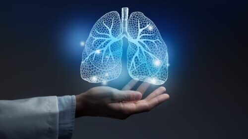 lungs4-scaled-e1765553779372