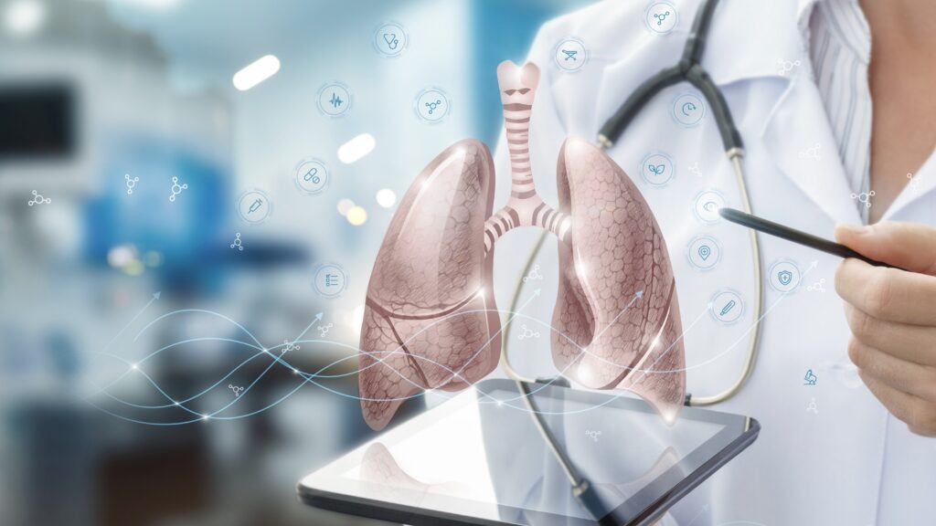 medical looking lungs